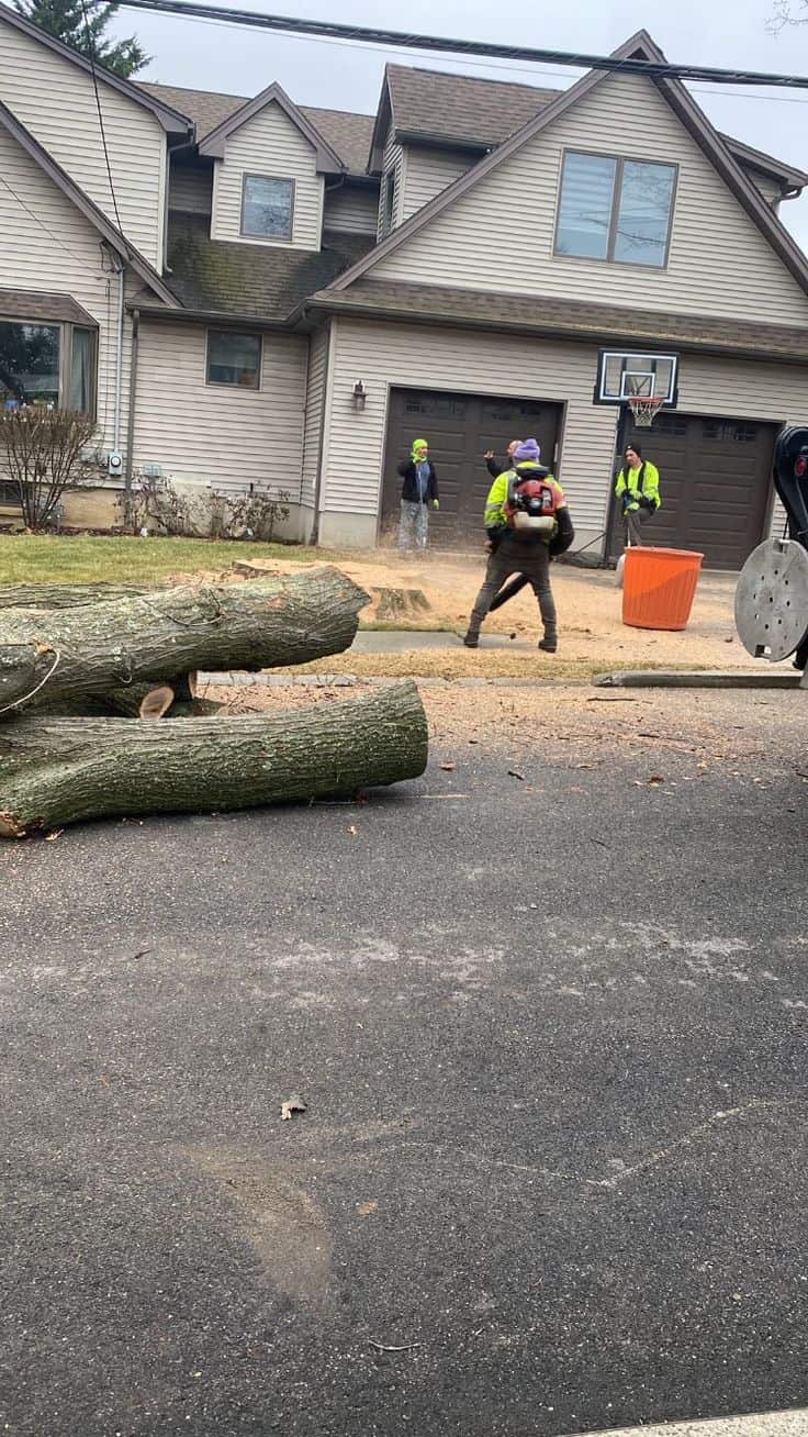 Adam's Apple Tree Service crew members